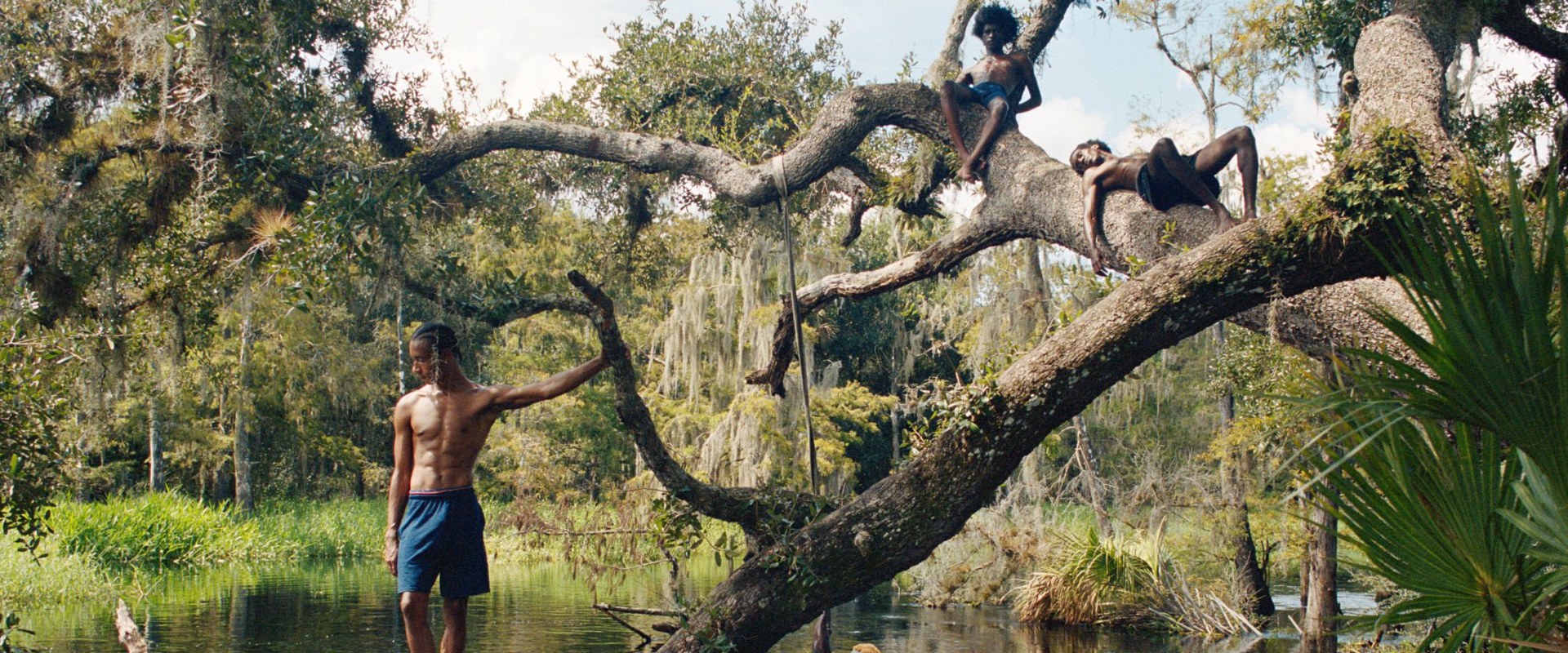 Preserving Memories from Festivities in Southeast Florida