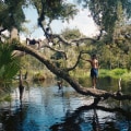 Preserving Memories from Festivities in Southeast Florida