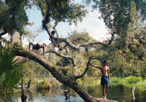 Preserving Memories from Festivities in Southeast Florida