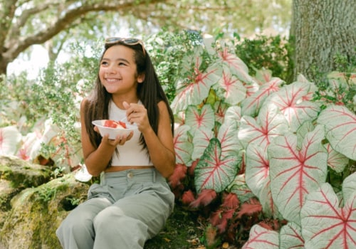 The Rise of Eco-Friendly Festivities in Southeast Florida